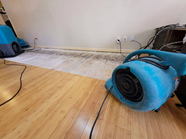 Professional Water Removal technician working in Millers Falls, MA